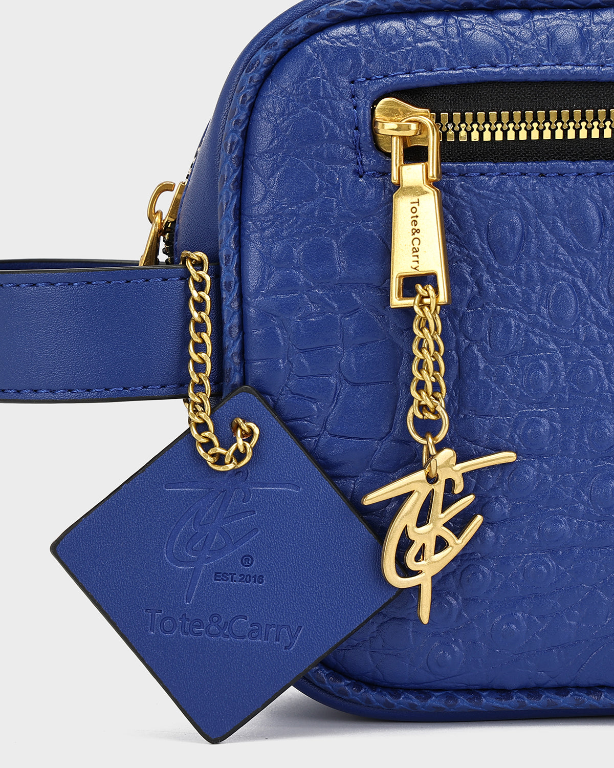 Statement Essential Toiletry Bag in Royal Blue V2