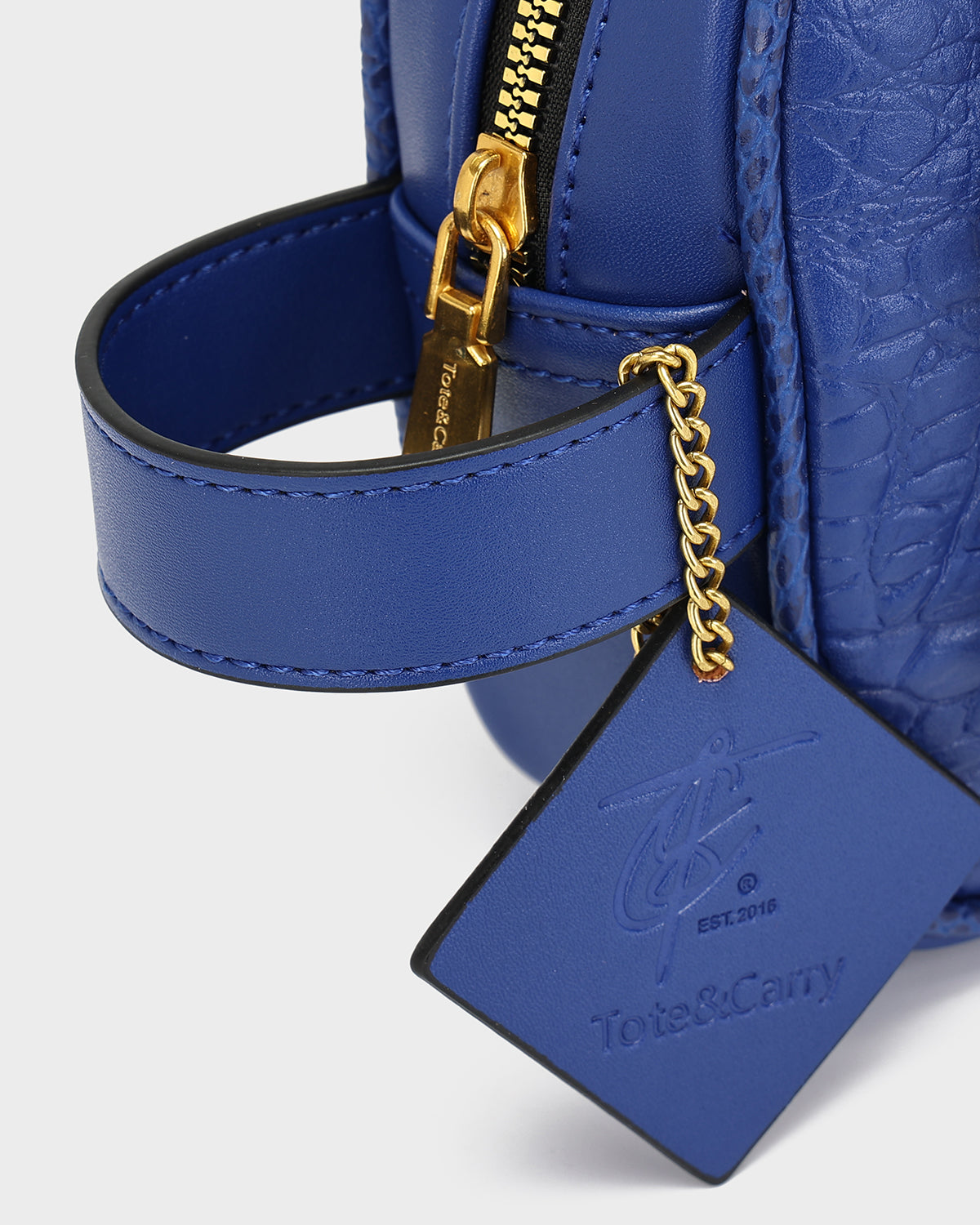 Statement Essential Toiletry Bag in Royal Blue V2