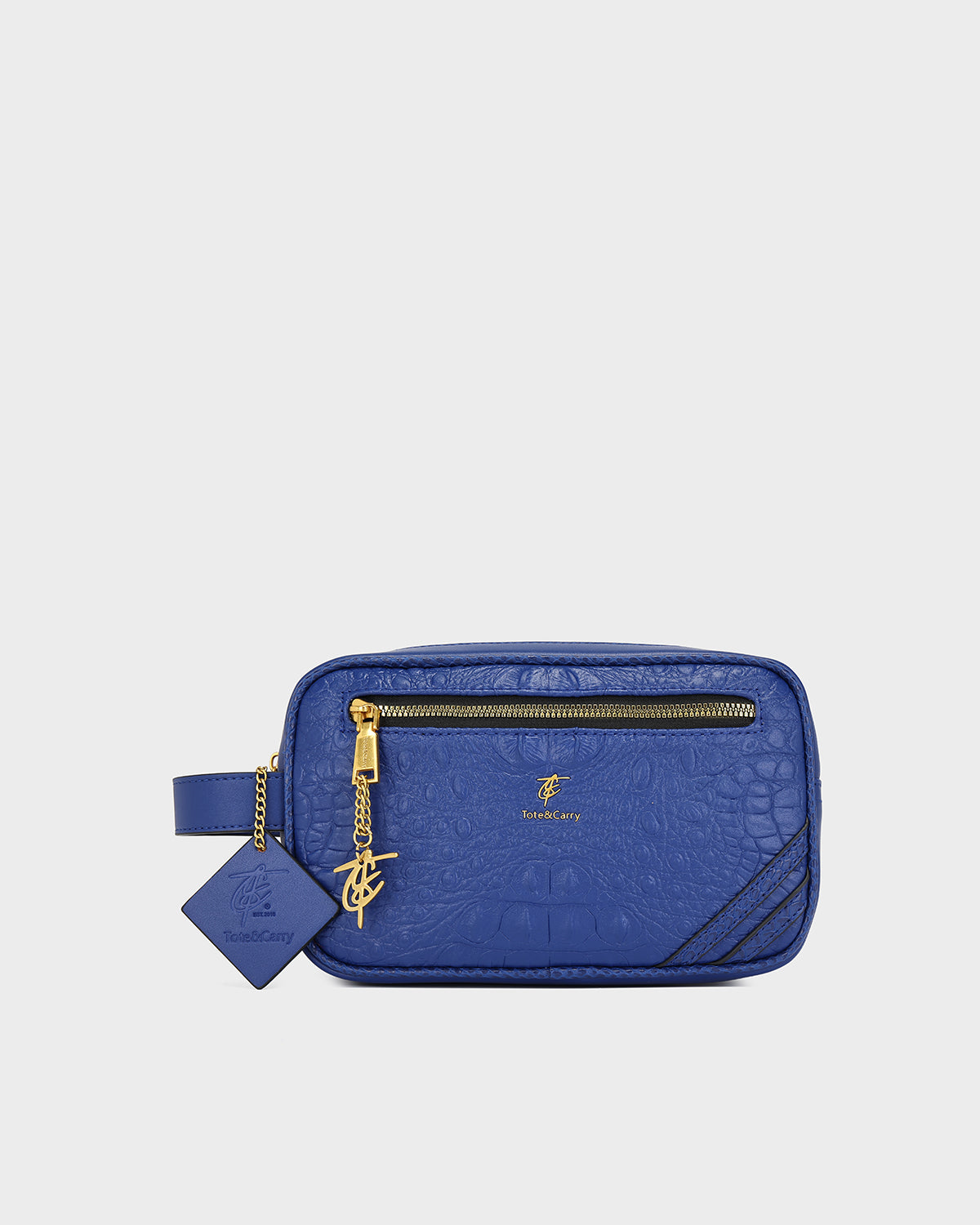 Statement Essential Toiletry Bag in Royal Blue V2