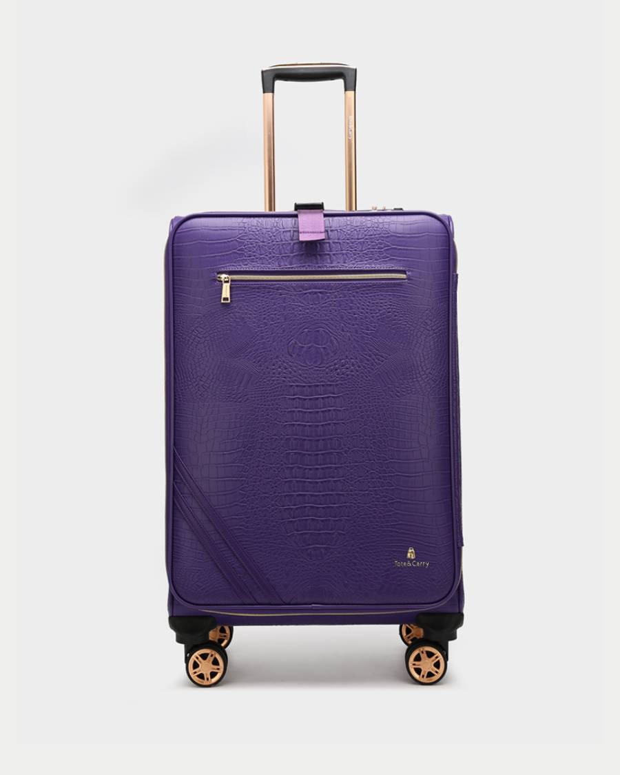 Apollo 2 Suitcase 2 Piece Set in Purple
