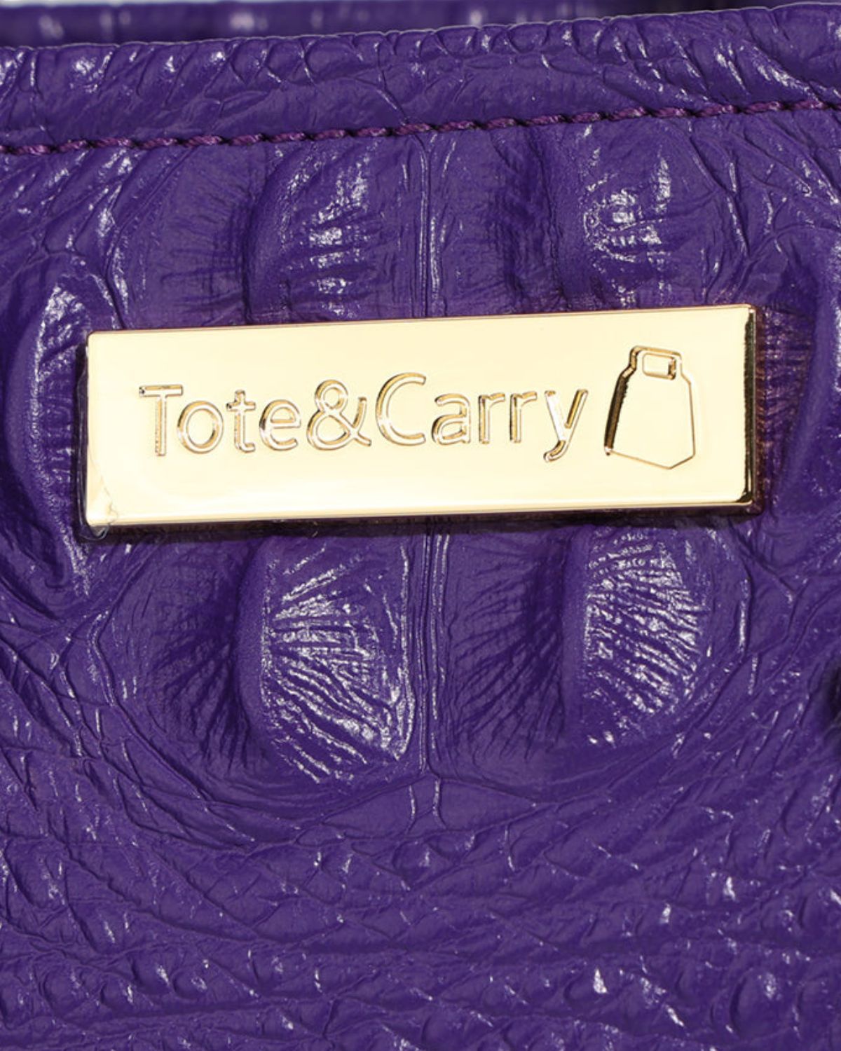 Statement Mini Tote Bag in Purple – Tote&Carry