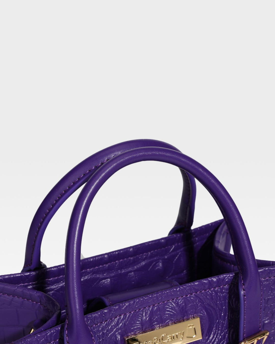 Apollo 2 Mini Tote Bag in Purple