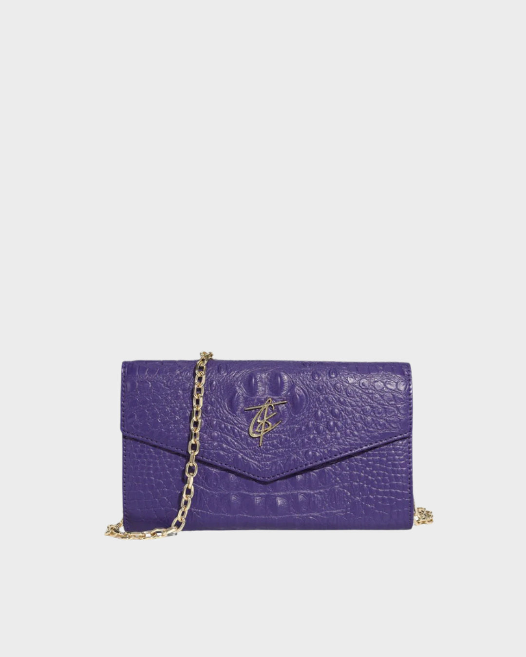 Apollo 2 Clutch Shoulder Bag in Purple