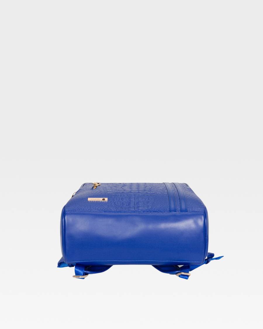 Apollo 2 Backpack & Rolling Duffle Bag Set in Royal Blue